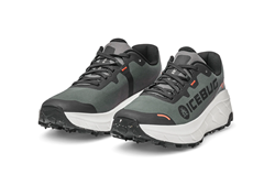 ARCUS 2 W BUGRIP GTX GREY